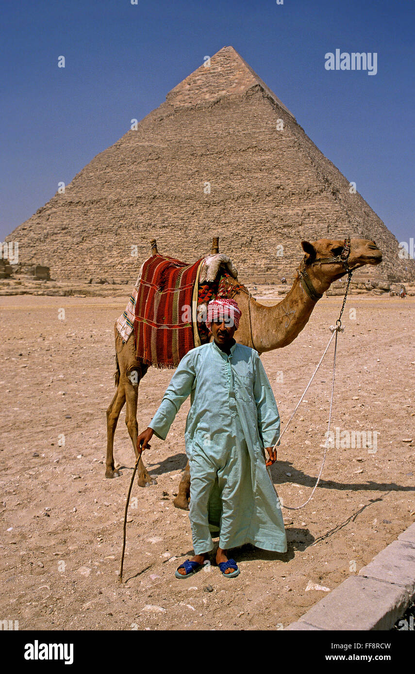Conductor de camellos y la pirámide de Khafre, Giza, El Cairo, Egipto, África Foto de stock