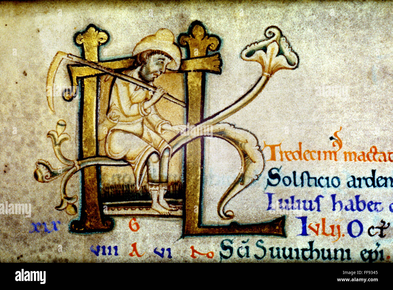 La cosecha, c1140. /NMan con una guadaña. Iluminación manuscrita en inglés. Foto de stock