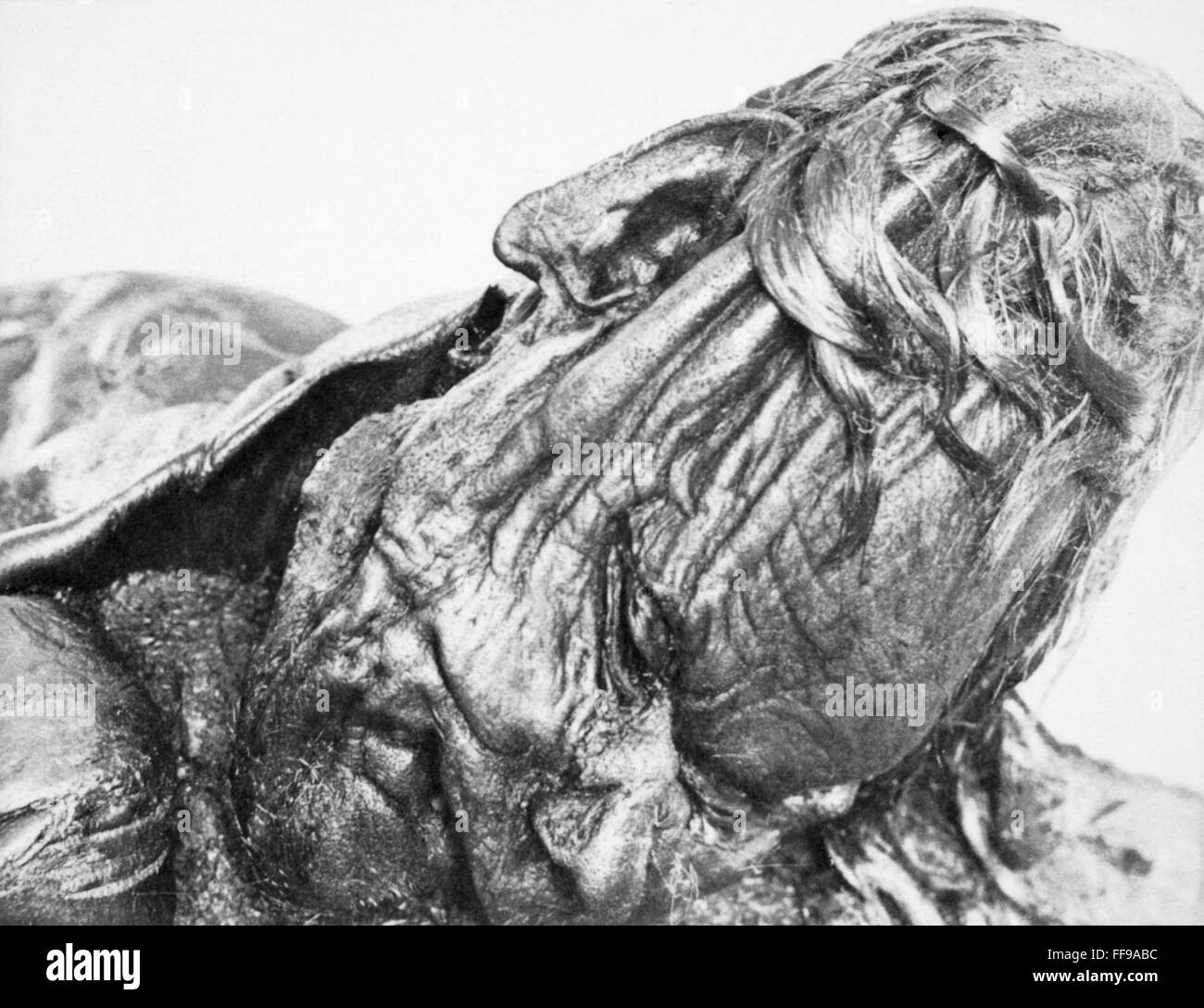 El hombre de la Edad de Hierro, c300 A.D. /nel jefe de un hombre desde c300 A.D., encontrado en 1952, conservados en un pantano en Grauballe en el centro de Jutlandia, Dinamarca. Foto de stock