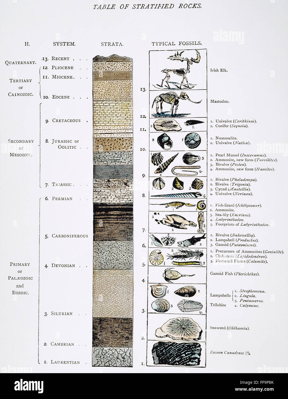 Geología Tabla Prehistoria. /NA a finales