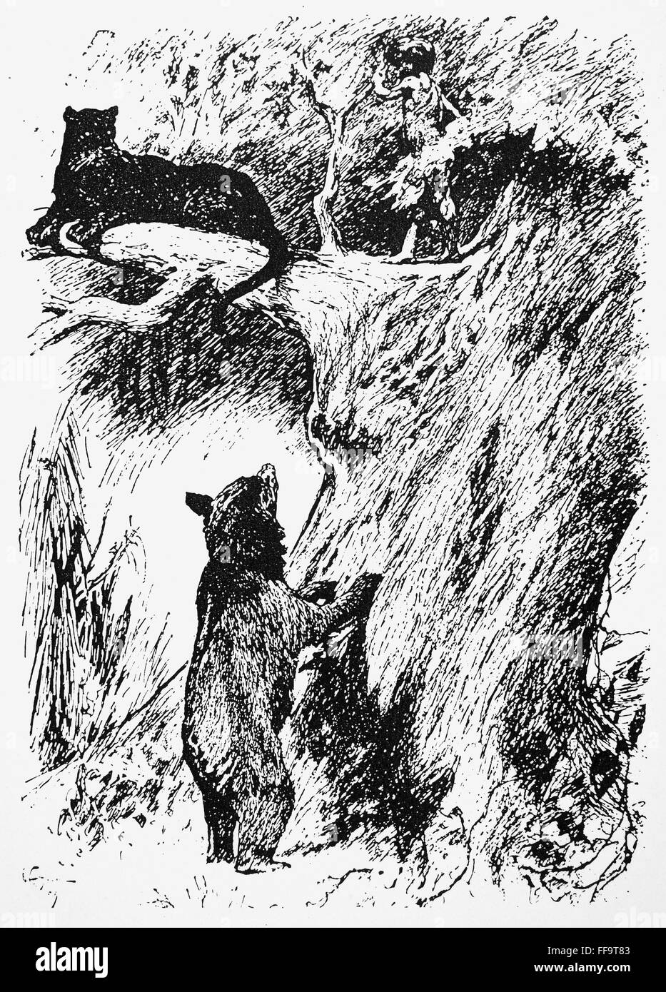 KIPLING: el libro de la selva. /NIllustration por W.H. Drake por el libro  de la selva, de 1894, mostrando Bagheera y Mowgli en el árbol con Baloo  viendo en el suelo Fotografía
