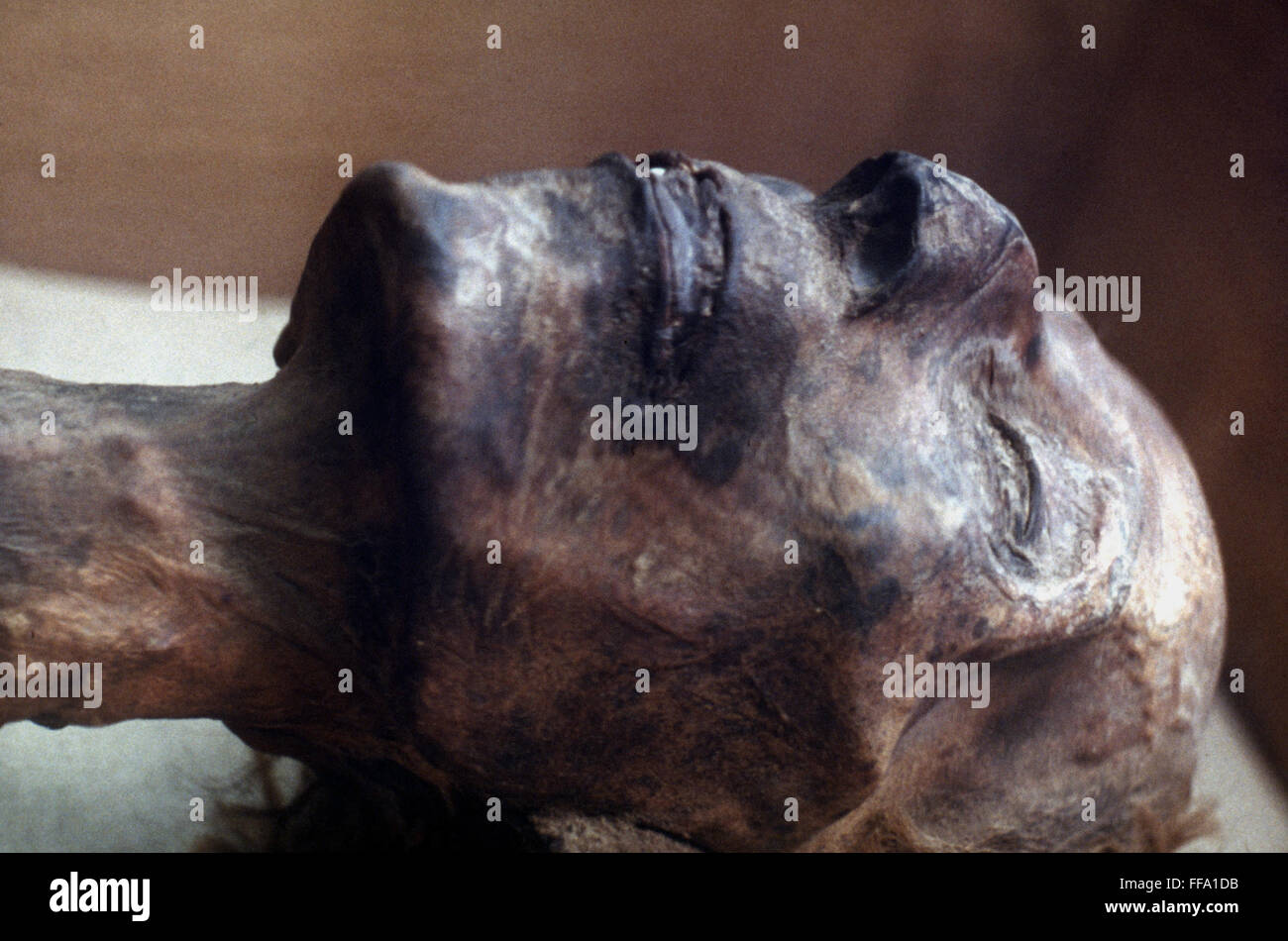 Ramsés II: La momia. /NMummified cabeza del faraón egipcio Ramsés II, de la XIX Dinastía. Foto de stock