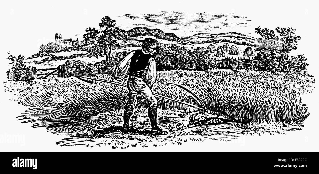 La cosecha, c1800. /NReaping con una guadaña. El grabado en madera, inglés, C1800. Foto de stock