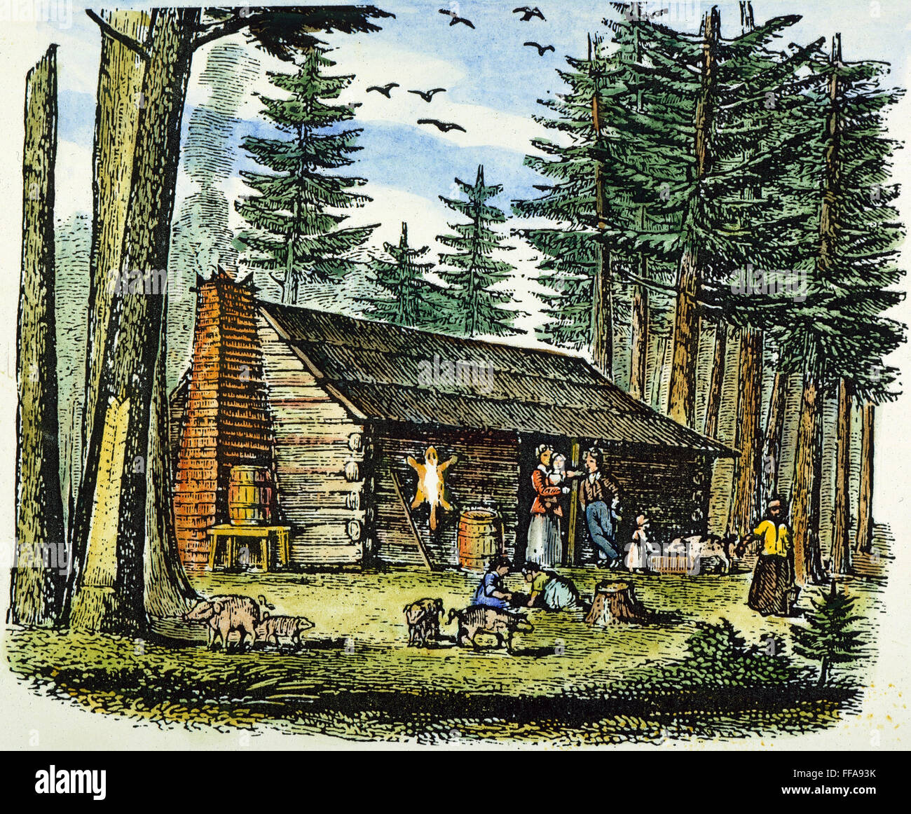 HOMESTEAD, Pioneer 19C. /nA homestead pionero en un bosque de pinos: grabado en color, del siglo XIX. Foto de stock