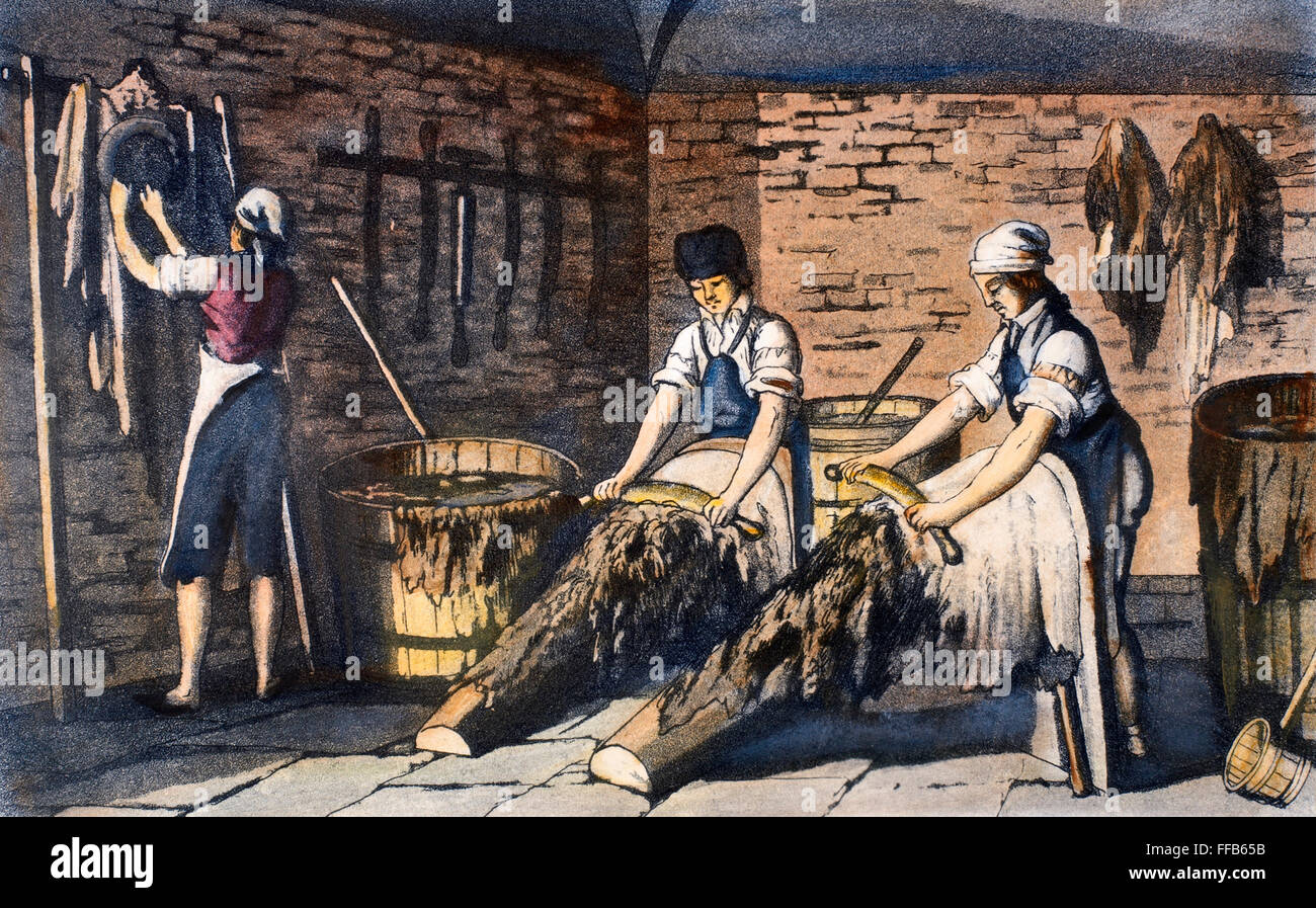 La fabricación de cuero, 1800. /NCleaning y encalado oculta. Aguatinta grabado, c1800. Foto de stock