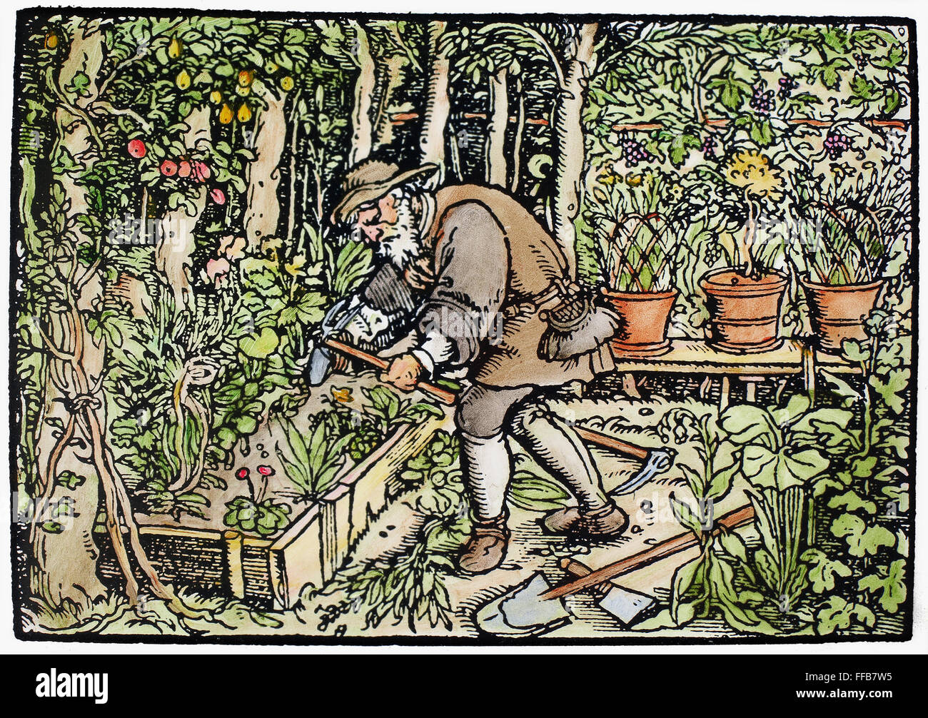 El jardinero, 1550. /NWoodcut, Alemán, c1550. Foto de stock