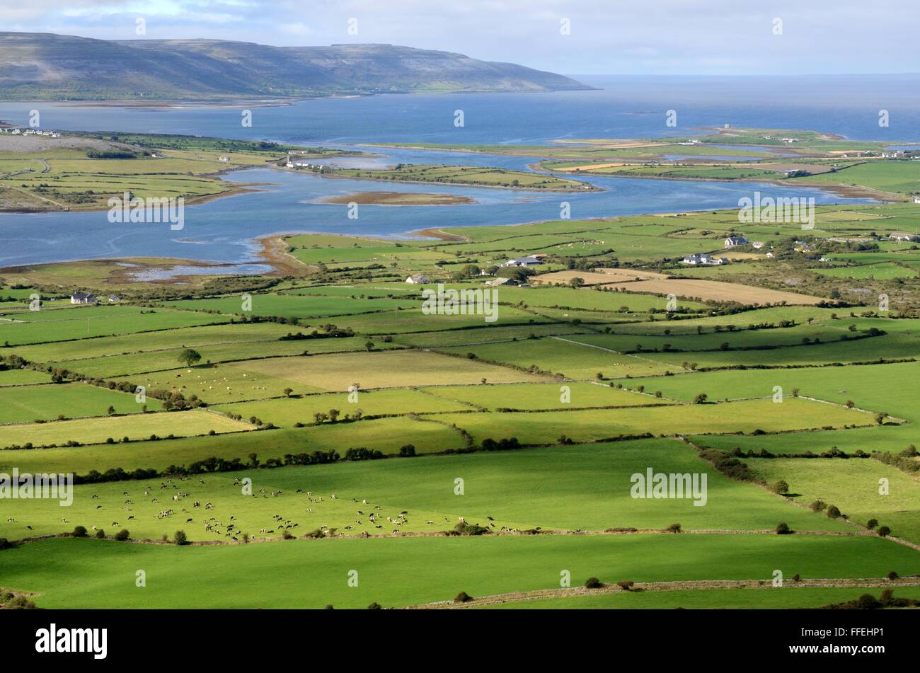 Vista desde la colina de la abadía irlandesa sobre verdes campos agrícolas hacia la bahía de Galway County Clare Burren Irlanda Foto de stock