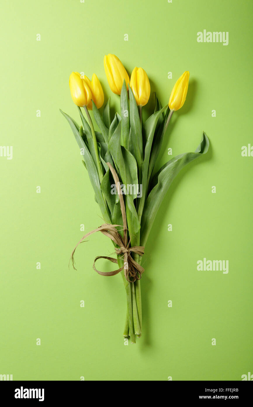 Fresh tulipán amarillo sobre fondo verde, flores Foto de stock