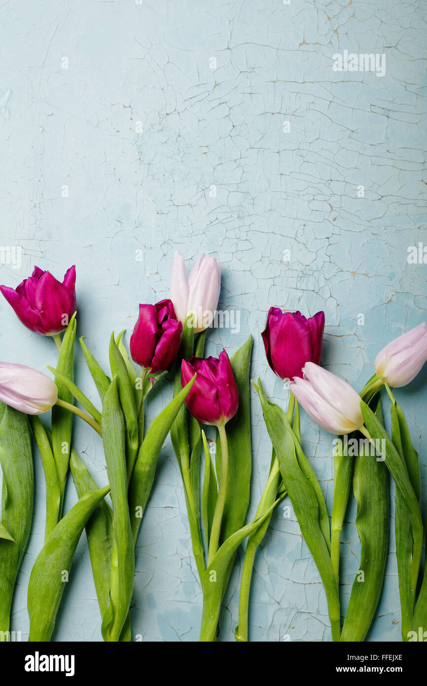 Los tulipanes en old backlground, flores vista superior Foto de stock