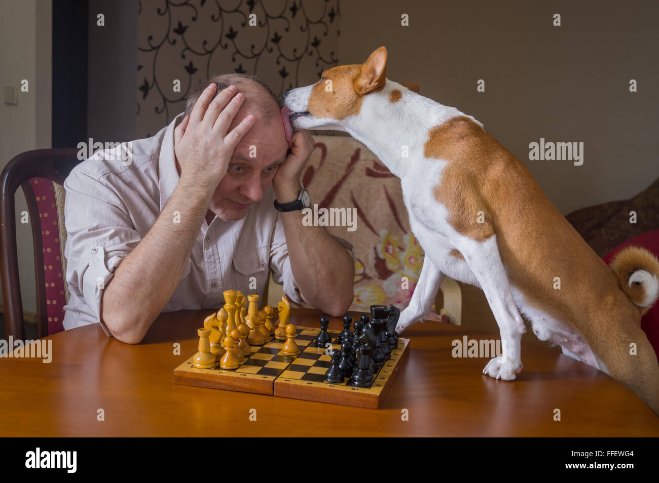Dog lick human fotografías e imágenes de alta resolución - Alamy