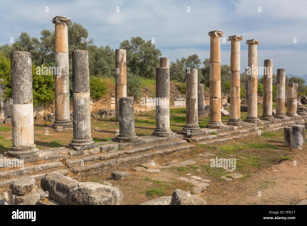 Las ruinas de la antigua Nisa en el Maeander, provincia de Aydin, Turquía Foto de stock
