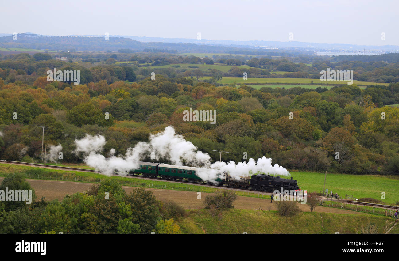 Tren de vapor en la zona rural de Dorset, Inglaterra, Reino Unido. Foto de stock