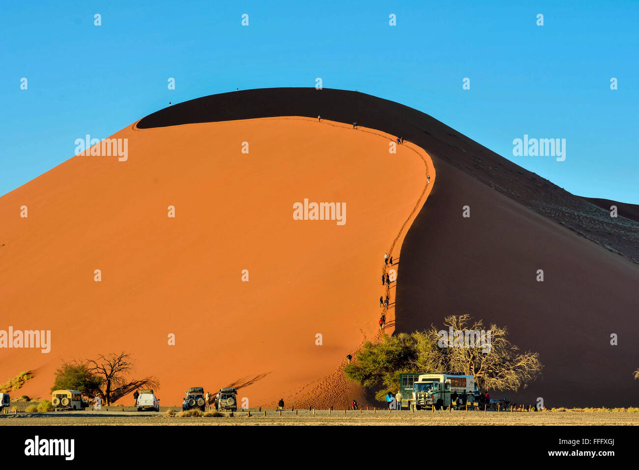 Una duna de arena llamado Big Daddy en Sossusviel Foto de stock