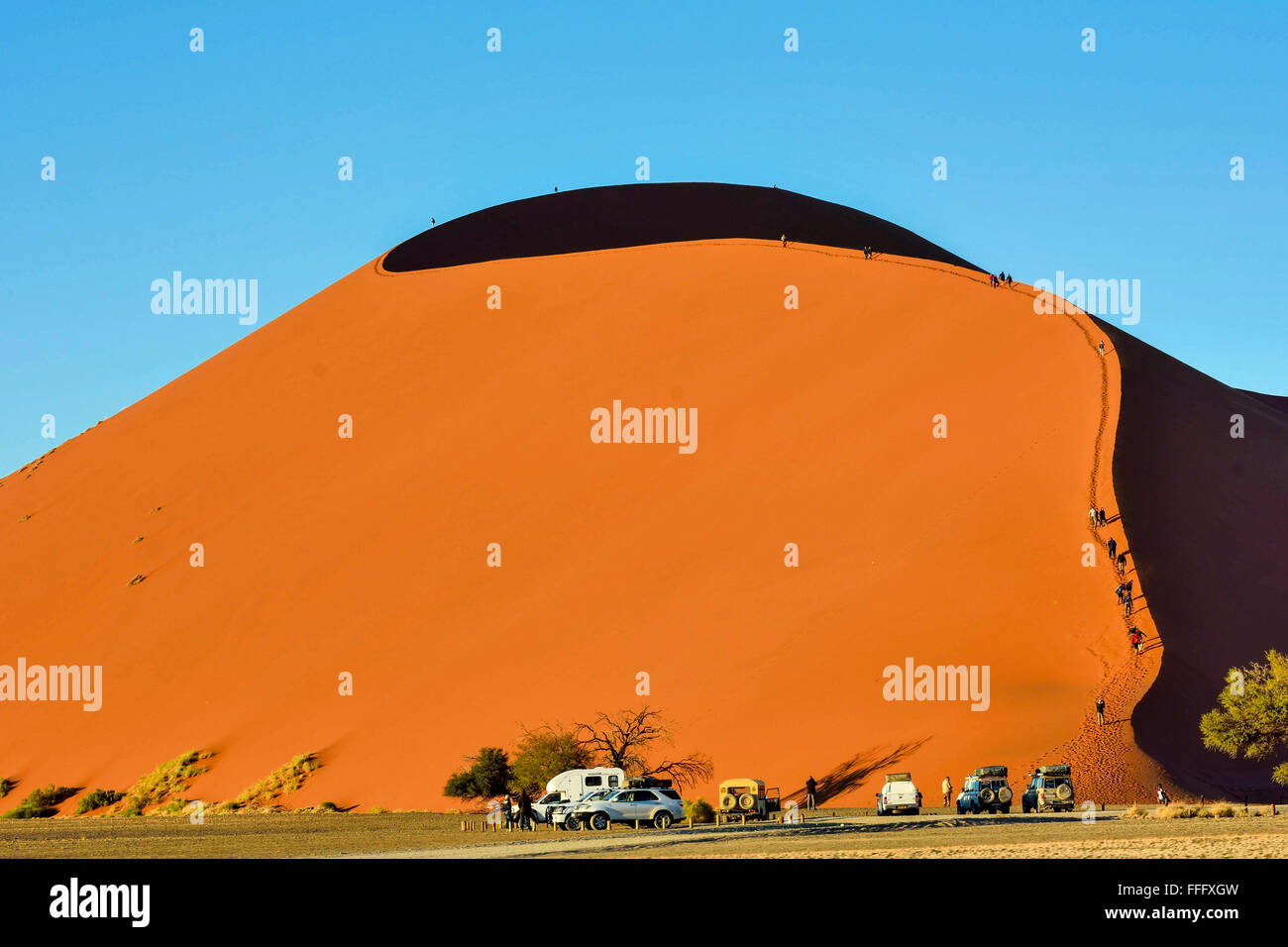 Big Daddy duna de arena en el desierto de Namib Foto de stock
