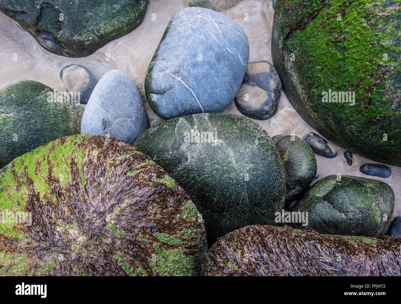Rocas en la orilla del mar piedras guijarros abstract St Kilda Foto de stock