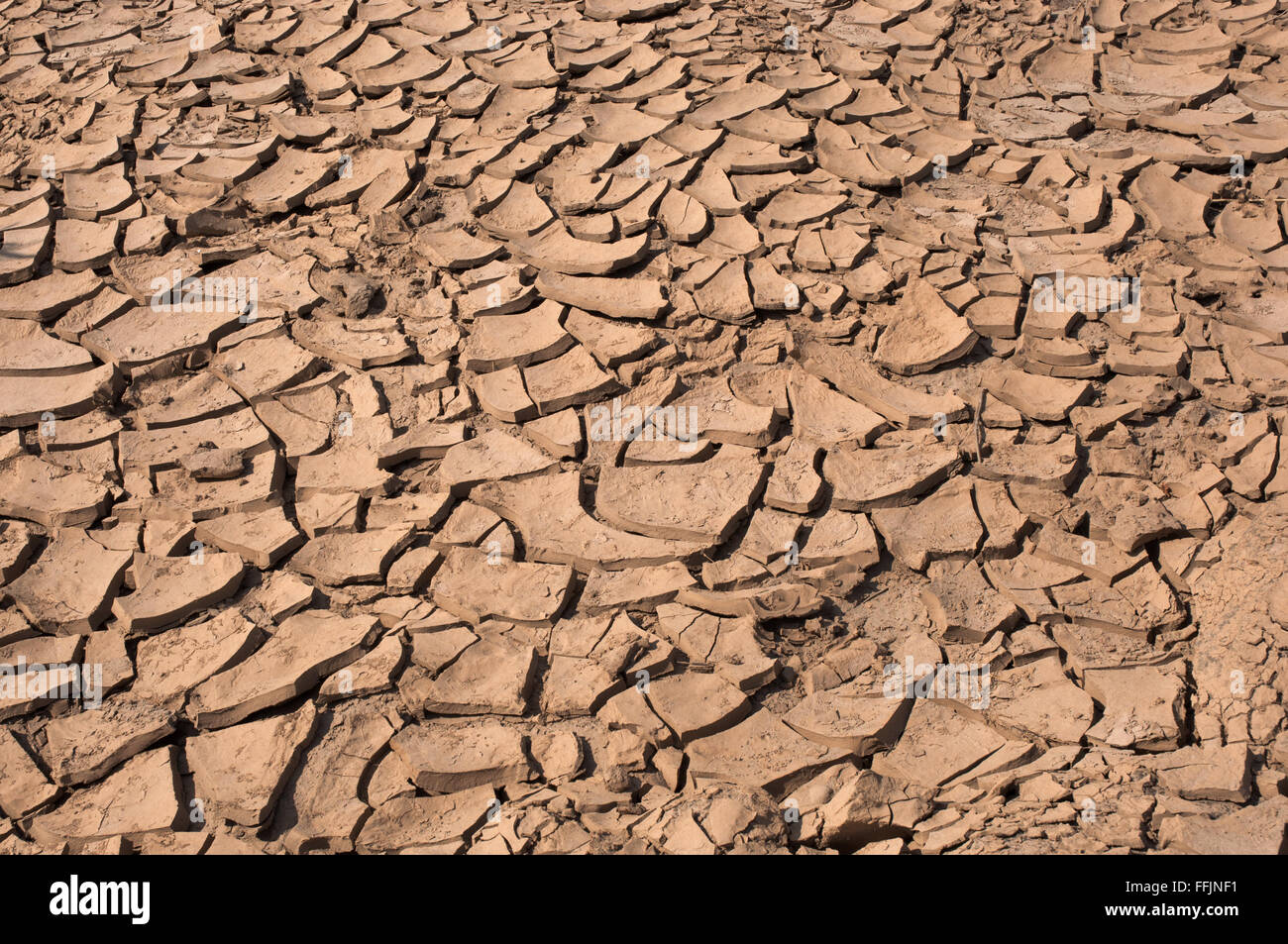 Agrietada tierra seca sin agua. Foto de stock