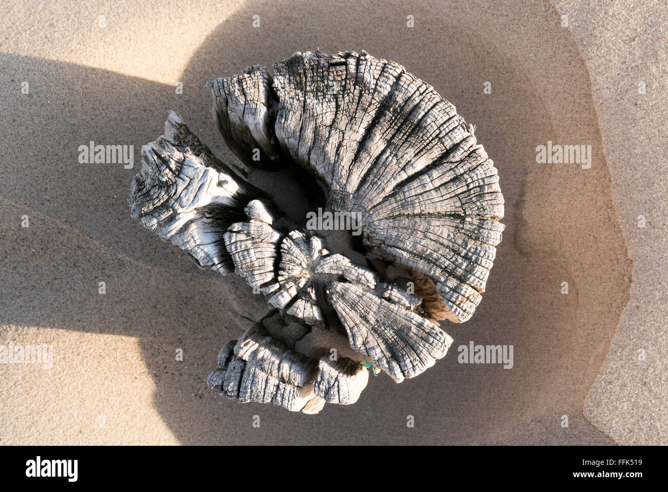 Strand, Buhne, Domburg, Nordsee-Küste, Provinz Selandia, Niederlande | Playa, espigón, Domburg, Costa del Mar del Norte, de Zeeland Netherla Foto de stock