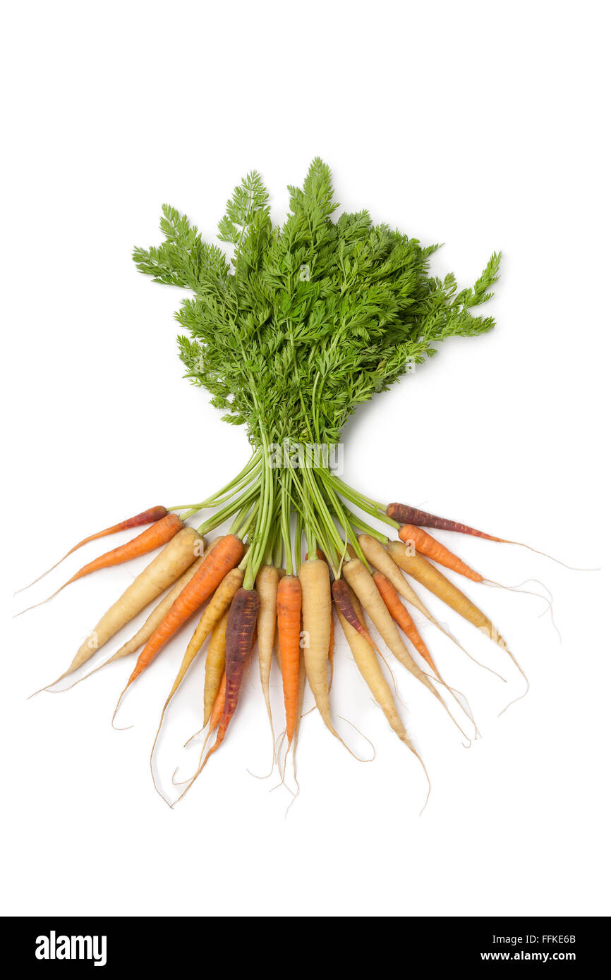 Entero fresco zanahorias en diferentes colores sobre fondo blanco. Foto de stock