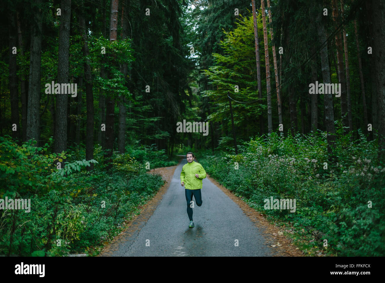 Hombre corriendo en ruta en un antiguo bosque verde. Foto de stock