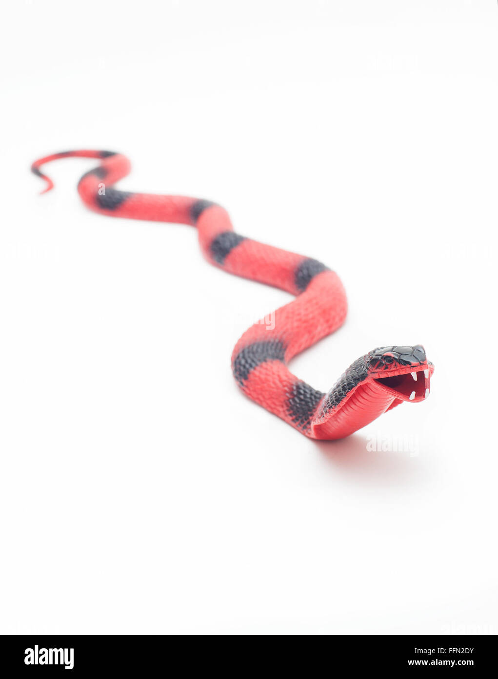 Cobra de serpiente de juguete Foto de stock