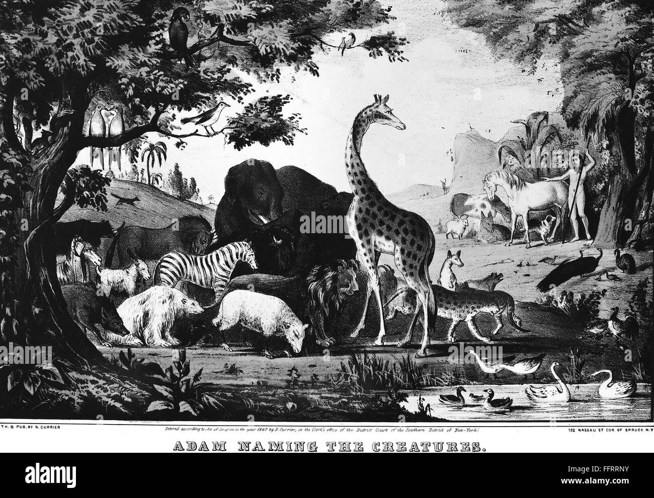CURRIER: ADAM. /N'Adam nombrar las criaturas." litografía americana por Nathaniel Currier, 1847. Foto de stock
