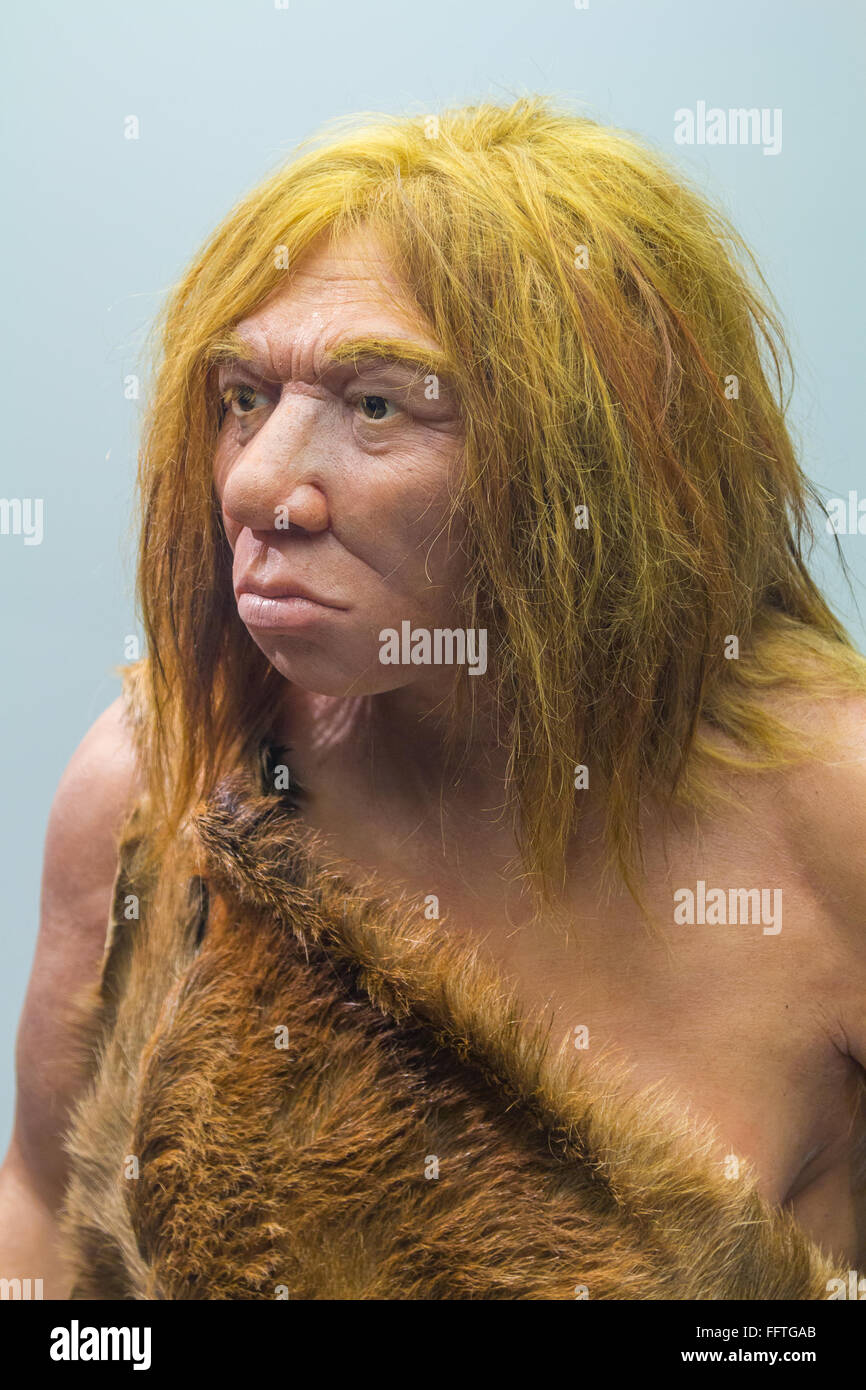 El hombre de Neandertal con traje de pieles Foto de stock