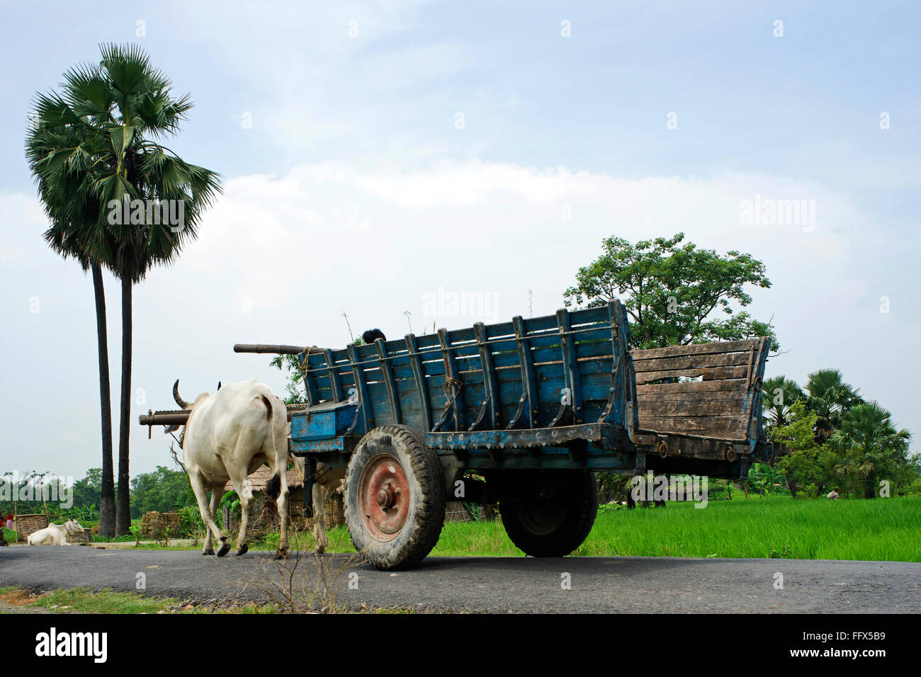 Carro de bueyes en carretera , Heritage Village life , a Vaishali Kesariya, Bihar, India Foto de stock