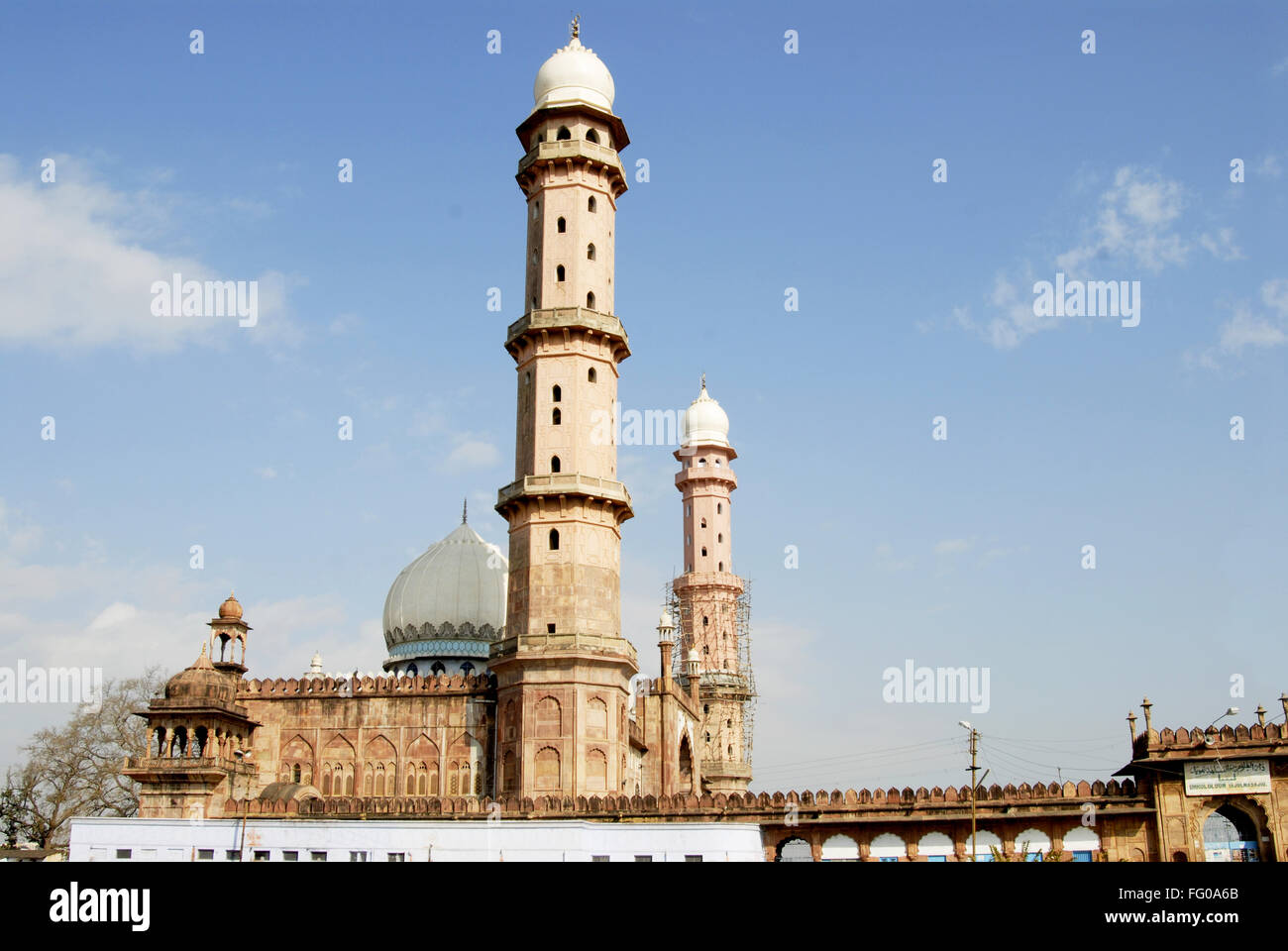 Rosa Masjid Tajul señorial construida en 1870 por Shahjehan Begum mayor mezquita , Bhopal, Madhya Pradesh, India Foto de stock