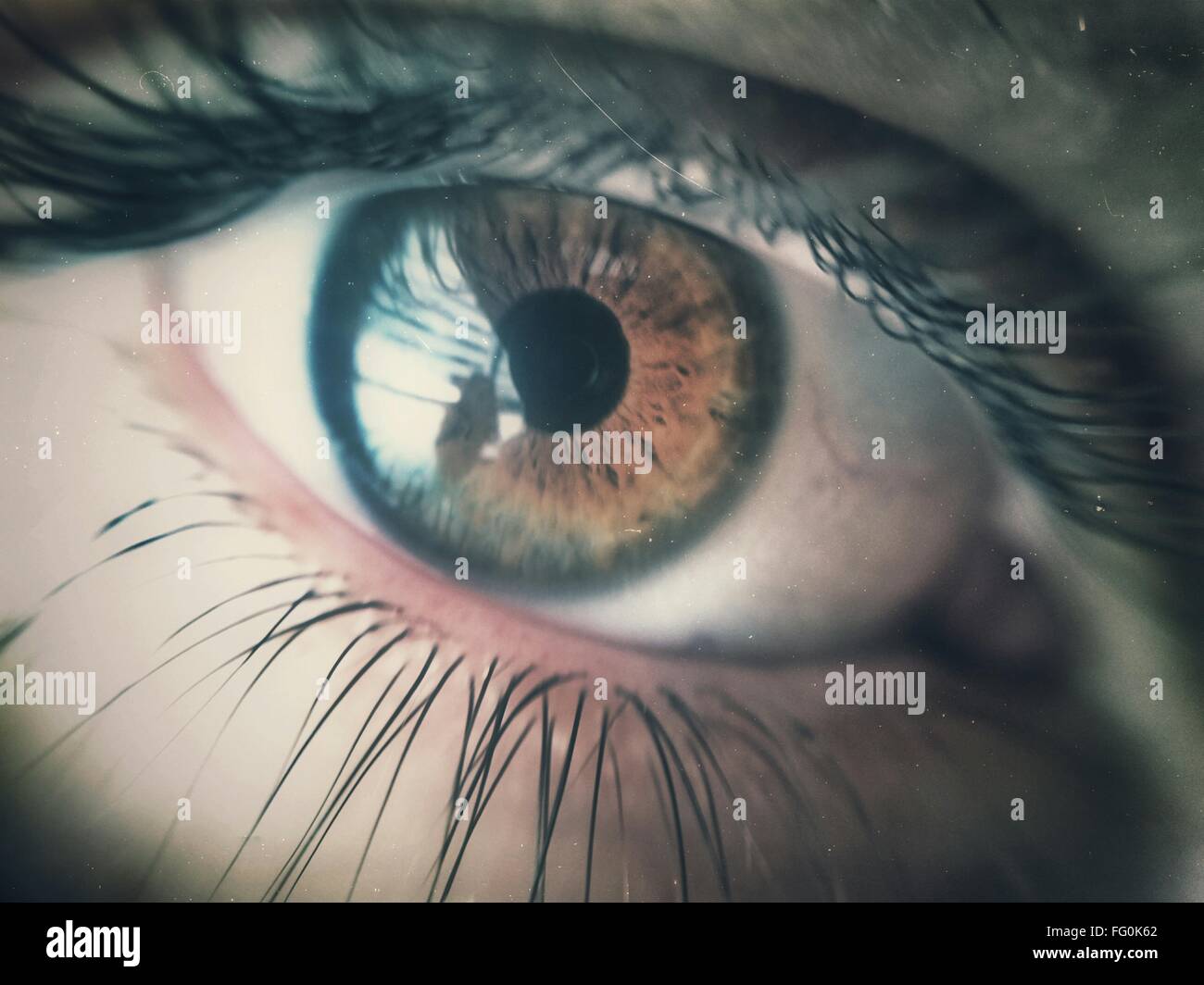 La extrema en primer plano del ojo humano Foto de stock