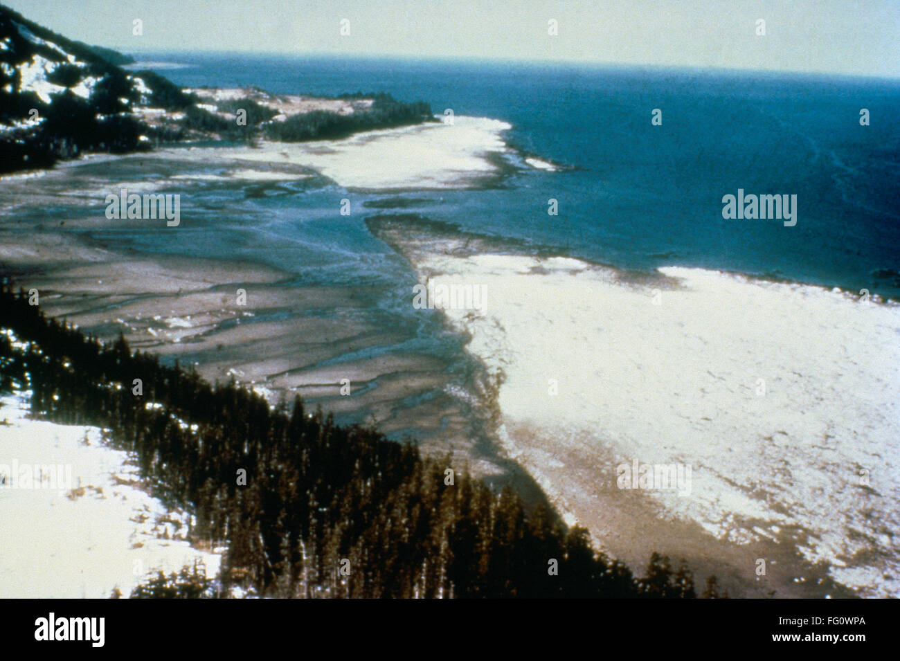 ALASKA: Terremoto, 1964. /Nel Hanning Bay fallo escarpa o acantilado en la Isla Montague en Prince William Sound, Alaska. El fallo fue reactivado por el terremoto del 27 de marzo de 1964. La Costa Blanca está recubierto con calcerous organismos marinos muertos por el Foto de stock