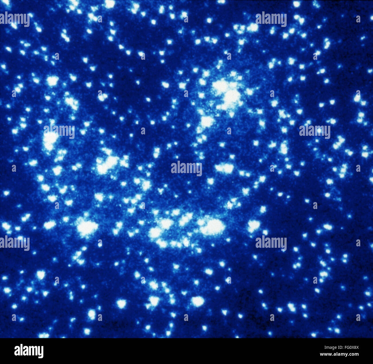 Espacio: 47 Tucanae. /NA vista del núcleo del cúmulo globular 47 Tucanae. Fotografiado por la Agencia Espacial Europea objeto tenue cámara del telescopio espacial Hubble, c1991. Foto de stock
