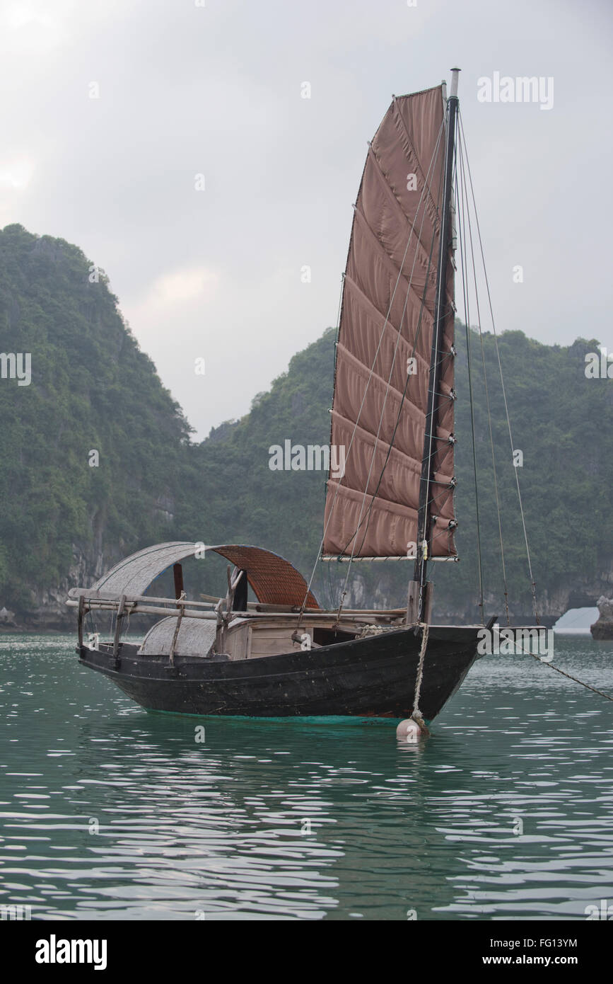 Una sola navegó junk amarrados en una aldea de pescadores en la Bahía de Halong, Vietnam del Norte Foto de stock