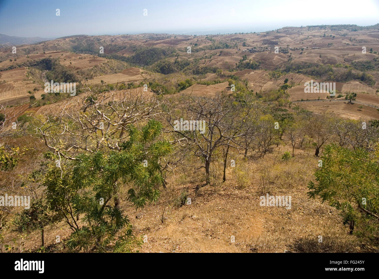 Vista de Satpura rangos desde distrito Amravati Chikhaldara ; ; ; Maharashtra India Foto de stock