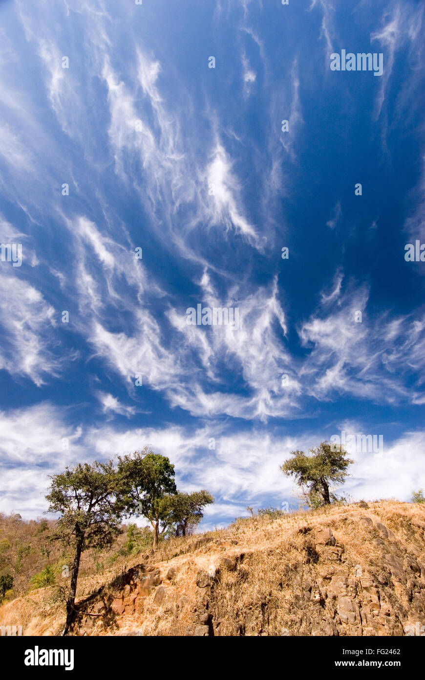 Las nubes blancas en el cielo de color azul oscuro en el paisaje en el distrito Amravati Chikhaldara ; ; ; Maharashtra India Foto de stock