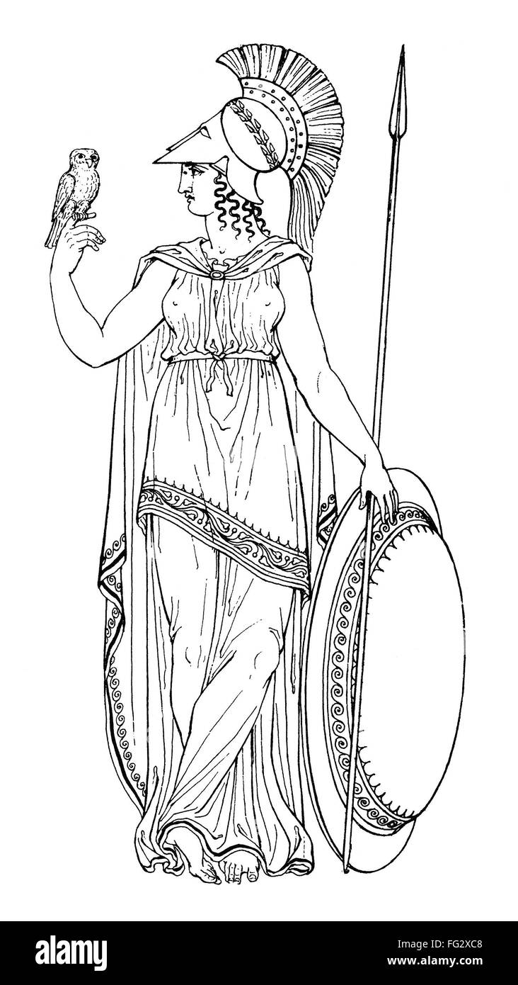 Atenea/Minerva. /NGreek y la diosa romana de la sabiduría, el arte y la  guerra. Dibujo de línea después de un antiguo jarrón pintura Fotografía de  stock - Alamy