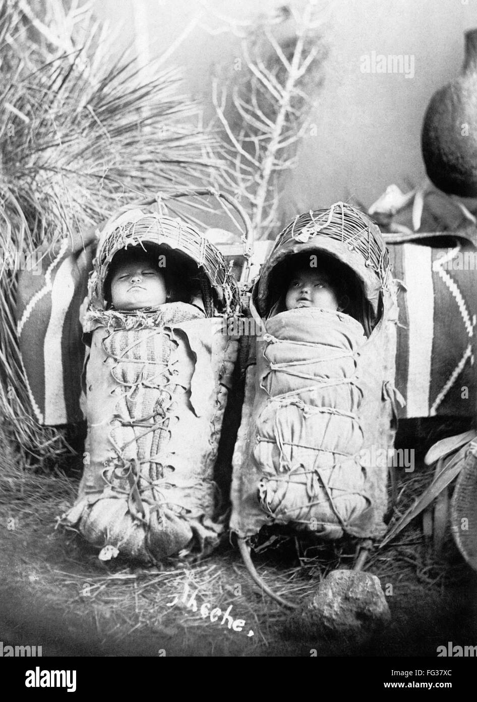 CRADLEBOARDS, 1916. /NNative americano, posiblemente, bebés en cradleboards Apache. Fotografía, 1916. Foto de stock