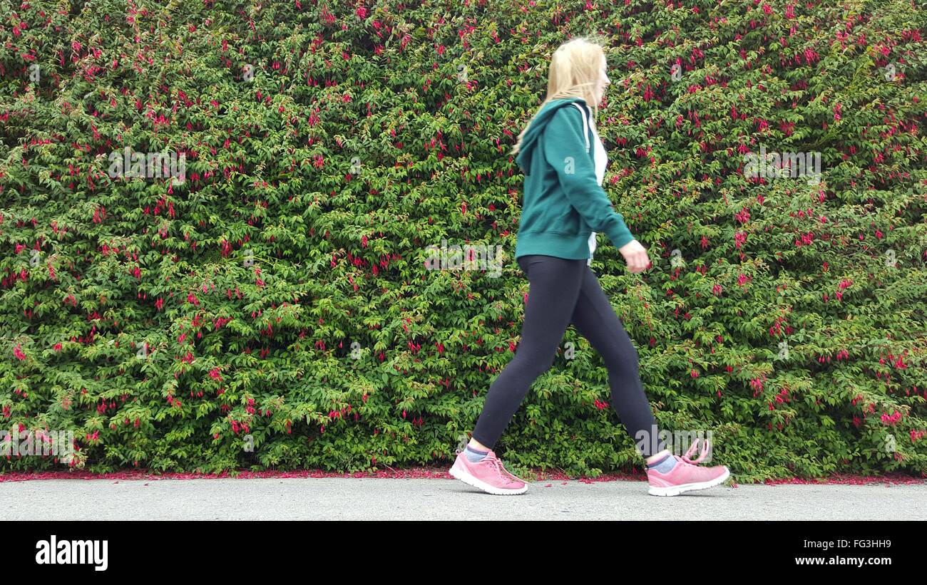 Ángulo de visión baja de mujer caminar contra Hedge en Park Foto de stock