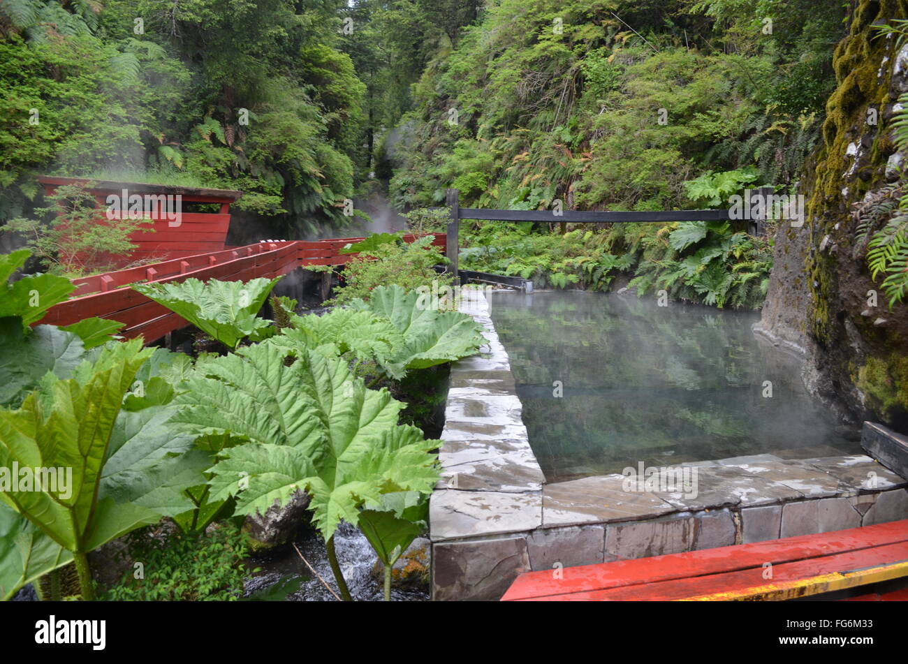 Las Termas Geometricas las termas naturales, cerca de la ciudad de  Conaripe, Chile Fotografía de stock - Alamy