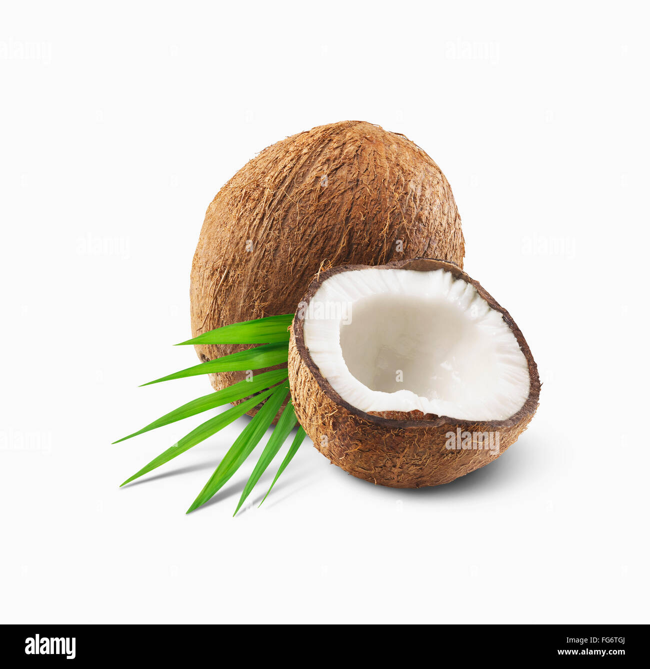Entero y mitad coconut sobre fondo blanco; Toronto, Ontario, Canadá Foto de stock