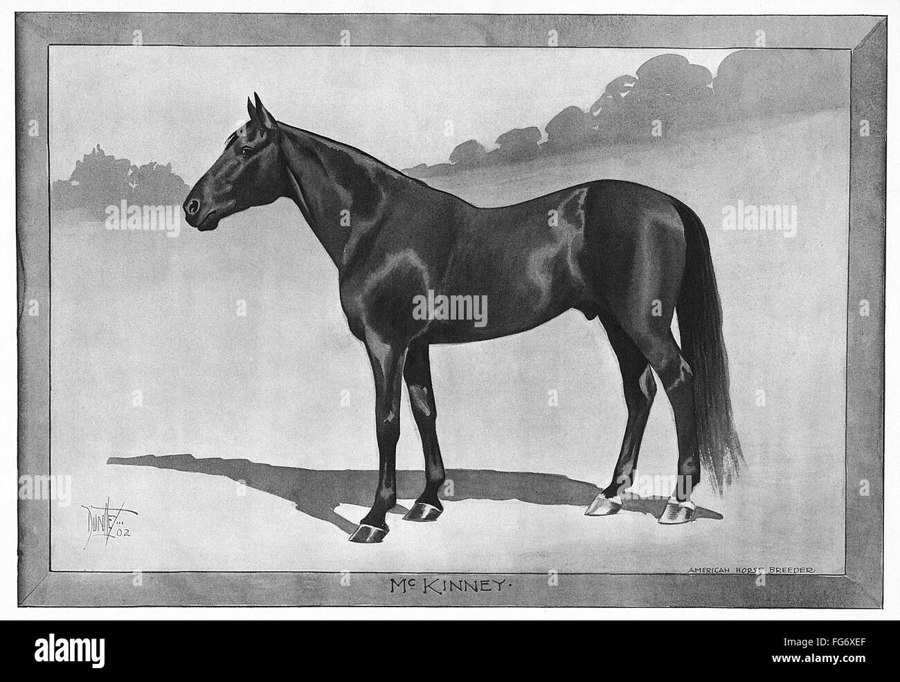 MCKINNEY, 1902. /NAmerican caballo de carreras. Ilustración, 1902. Foto de stock