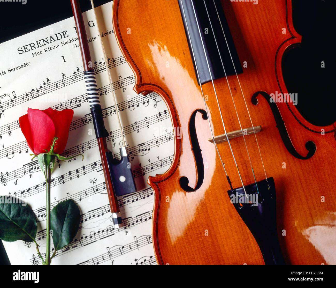 Still life de violines y arcos con rosa y partituras, London, England, Reino Unido Foto de stock