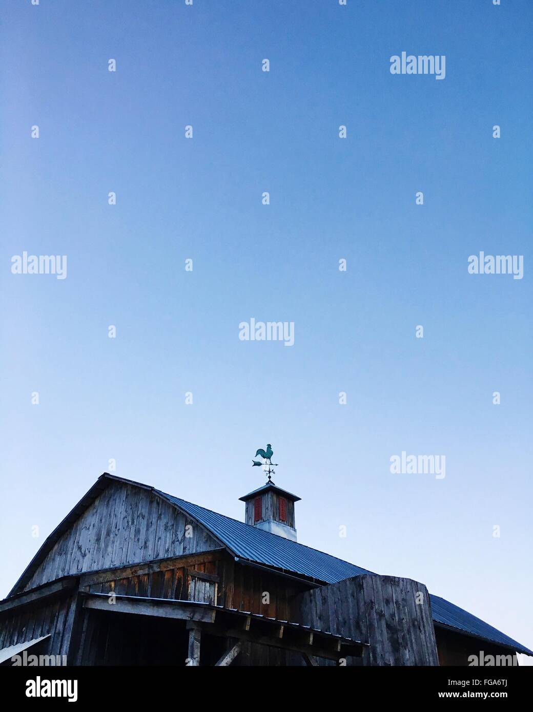 Ángulo de visión de la Cámara baja contra el cielo claro Foto de stock