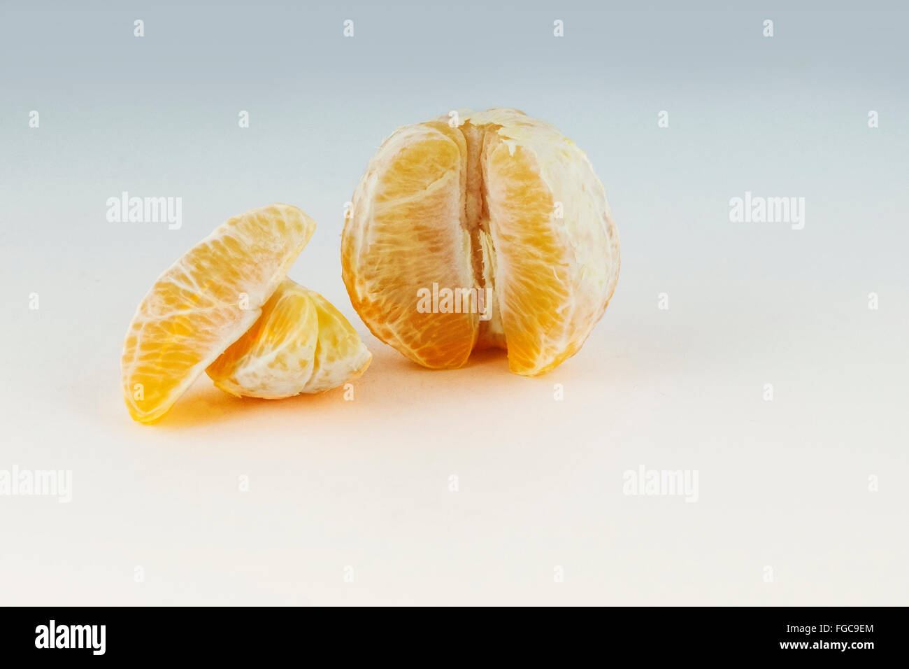 Una naranja pelada con secciones, citrus x sinensis, sobre un fondo blanco con atenuación del color. Foto de stock