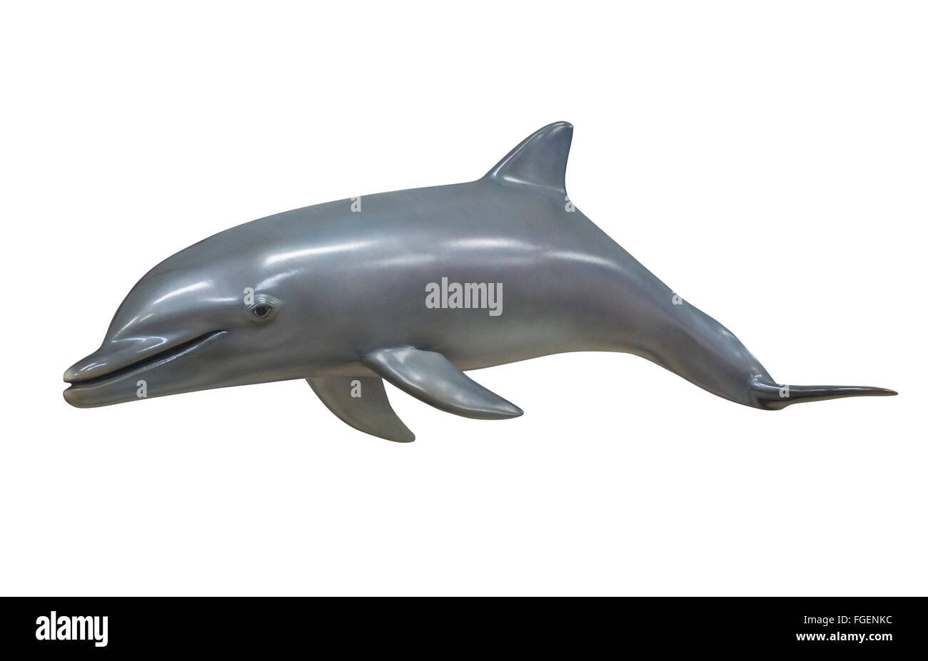 Delfín Nariz de Botella aislado en blanco Foto de stock