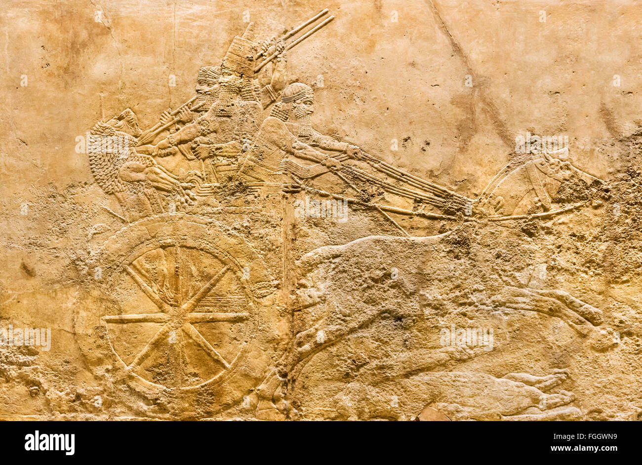 El rey Ashurbanipal en carroza, Lion hunt relieves c.645-635 BC del Palacio de Nínive, asiria Gallery, el British Museum, Londres Foto de stock