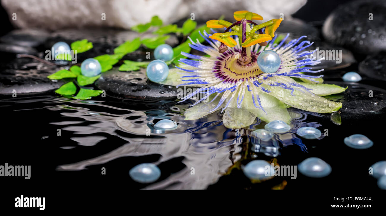 Still life spa de Passiflora, ramas, flores toallas apiladas, zen piedras  de basalto con gotas y perla en agua rizo Fotografía de stock - Alamy
