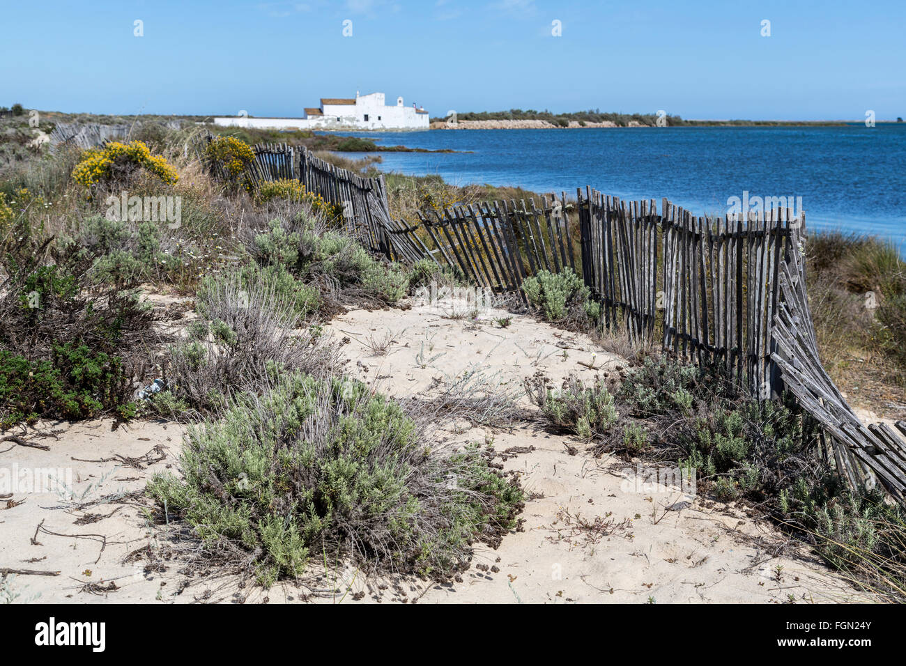 Las dunas de arena y cerco roto en Moinho de Mare, Molino de Marea, la Quinta de Marim, Parque Natural de la Ria Formosa, en Algarve, Portugal Foto de stock