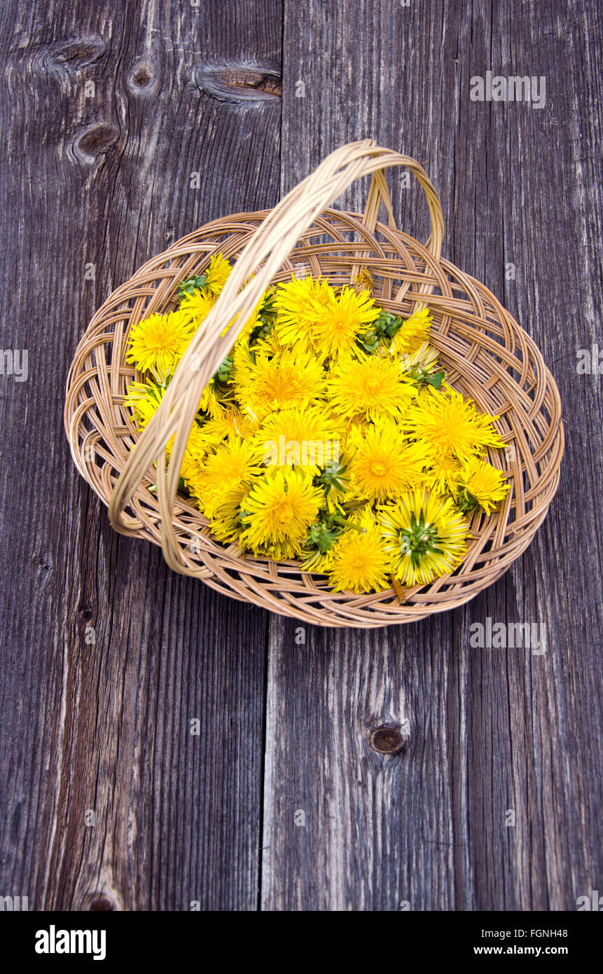 Ramo de flores amarillas el diente de león en el cesto de mimbre sobre la mesa rústica de madera Foto de stock