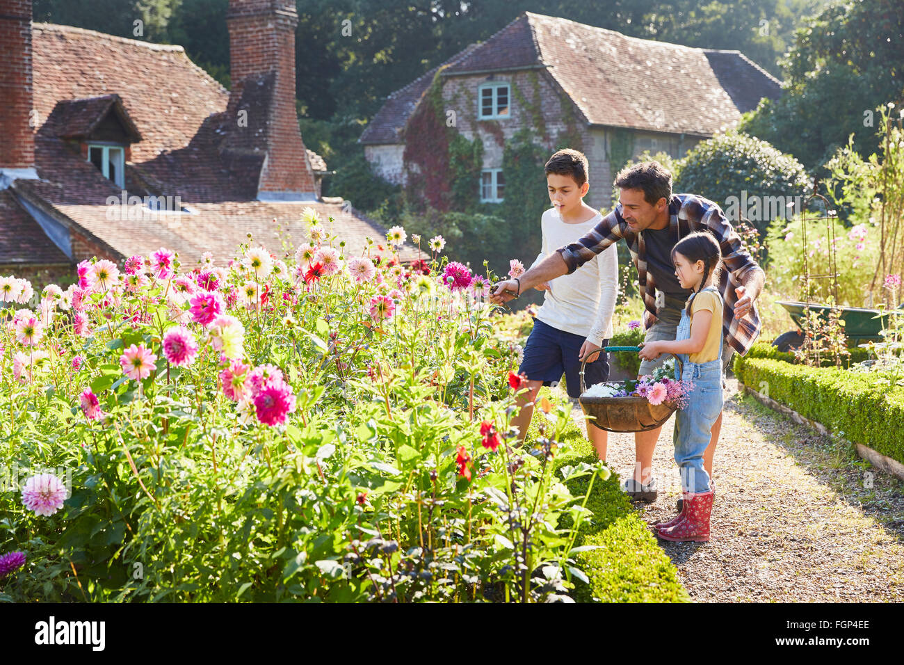 Familia recogiendo flores en el soleado jardín Foto de stock