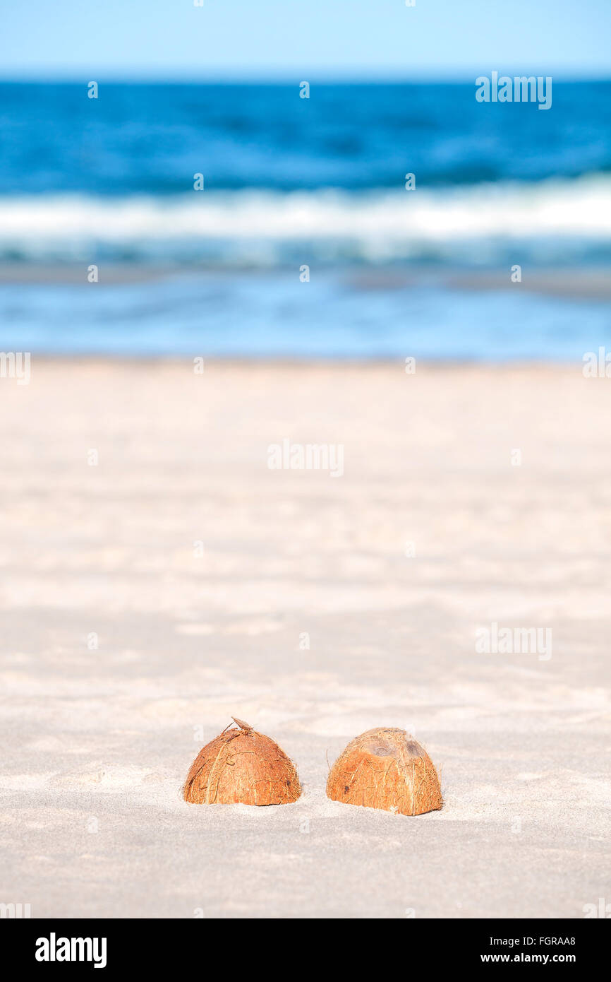 Mitades de coco en una playa de poca profundidad de campo. Foto de stock